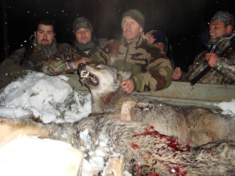 chasse en bielorussie  04510