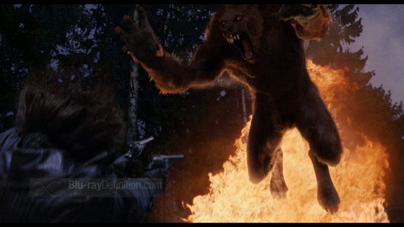 Ronyn: Alpha - Werewolf Tumblr10