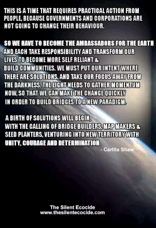 Ambassadors for the Earth by Carlita Shaw Soluti10