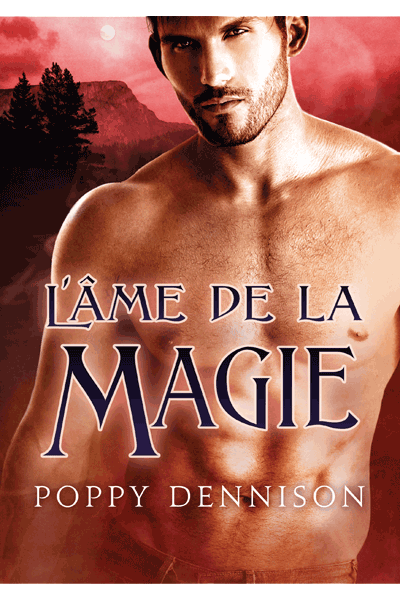 L'âme de la magie by Poppy Dennison Soulma10