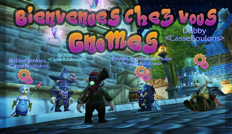 Bienvenue les Gnomes Nouvea10