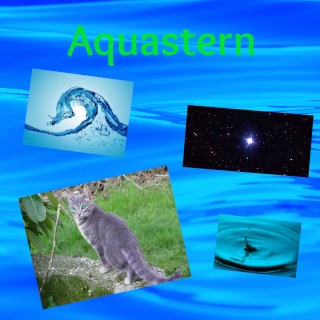 Ava gestalterin Aquast11