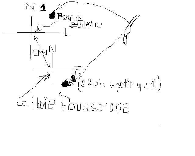 ovni - 2015: le 30/09 à 7h30 - ovni en forme de légère virgule -  Ovnis à sainte luce sur loire - Loire-Atlantique (dép.44) Sans_t10