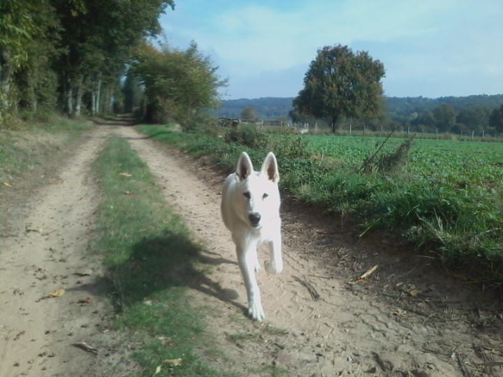 Album photo de mon gros Luffy 12096510