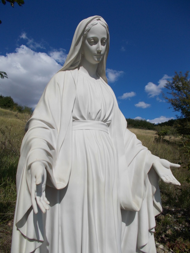 Une très belle Statue de La Vierge Marie 14448414