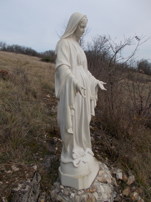 Une très belle Statue de La Vierge Marie 14448415