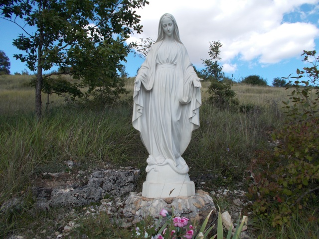 Une très belle Statue de La Vierge Marie 14448416