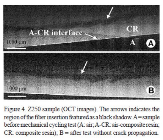 Fracture Process Characterization of Fiber-Reinforced Dental Composites Evaluated by Optical Coherence Tomography, SEM and Optical Microscopy 511