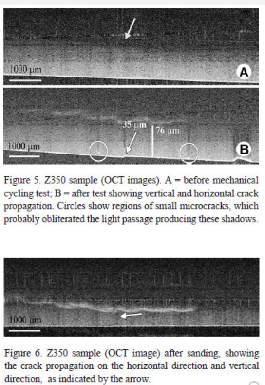 Fracture Process Characterization of Fiber-Reinforced Dental Composites Evaluated by Optical Coherence Tomography, SEM and Optical Microscopy 611