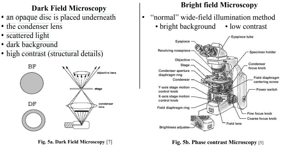 Tipos de Luz (light) optical - Microscope Dark_b10