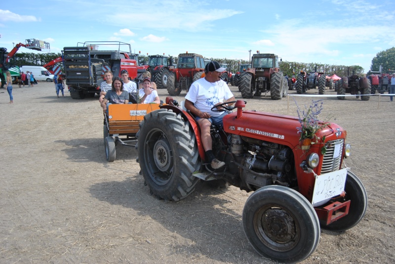 16  MONS  Fête des battages les 1 & 2 Août 2015 Dsc_0616