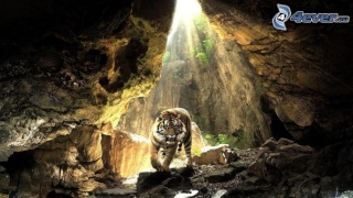 Le QG des braves Tigre-10