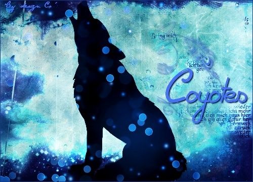 ☼ Atelier des Coyotes ☼ Coyote10