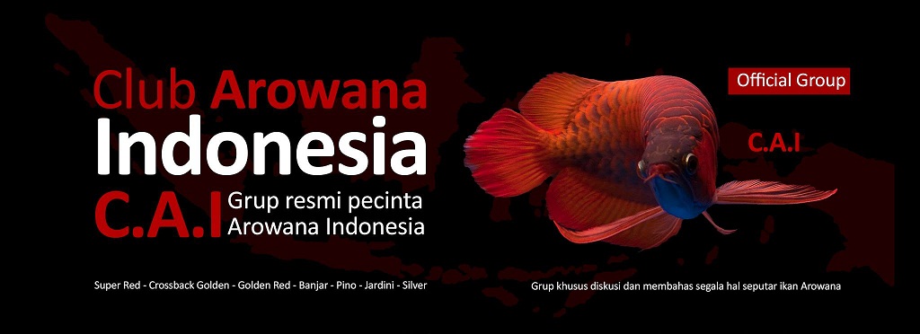 CLUB AROWANA INDONESIA