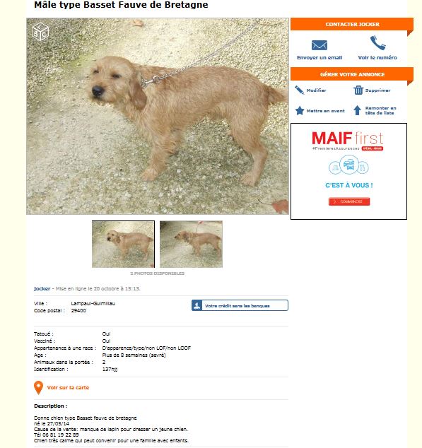 Chiot - top annonce - Page 25 Captur10