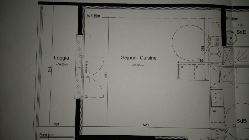 Besoin d'aide pour l'aménagement de l'espace salon-cuisine Img20122