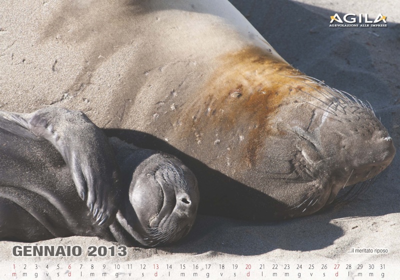 Calendario Agila 2013 Calend42