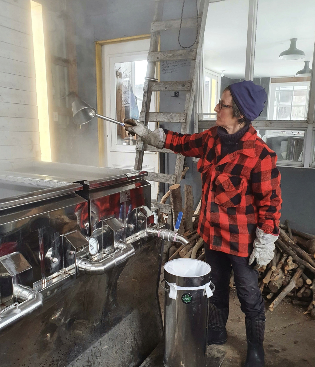 évaporateur au bois à vendre (VENDU) Unname30