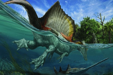 العلماء يكشفون تفاصيل عن سيناريو ”هلاك“ الديناصورات! Bagh11