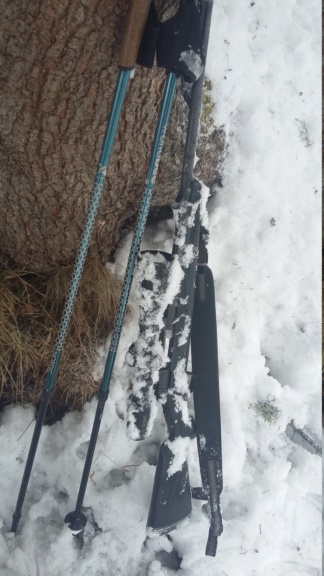 Et si on parlait fissure des bois d'une arme ? 20171211