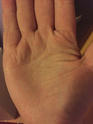 What does my palm say about me ? 15127813