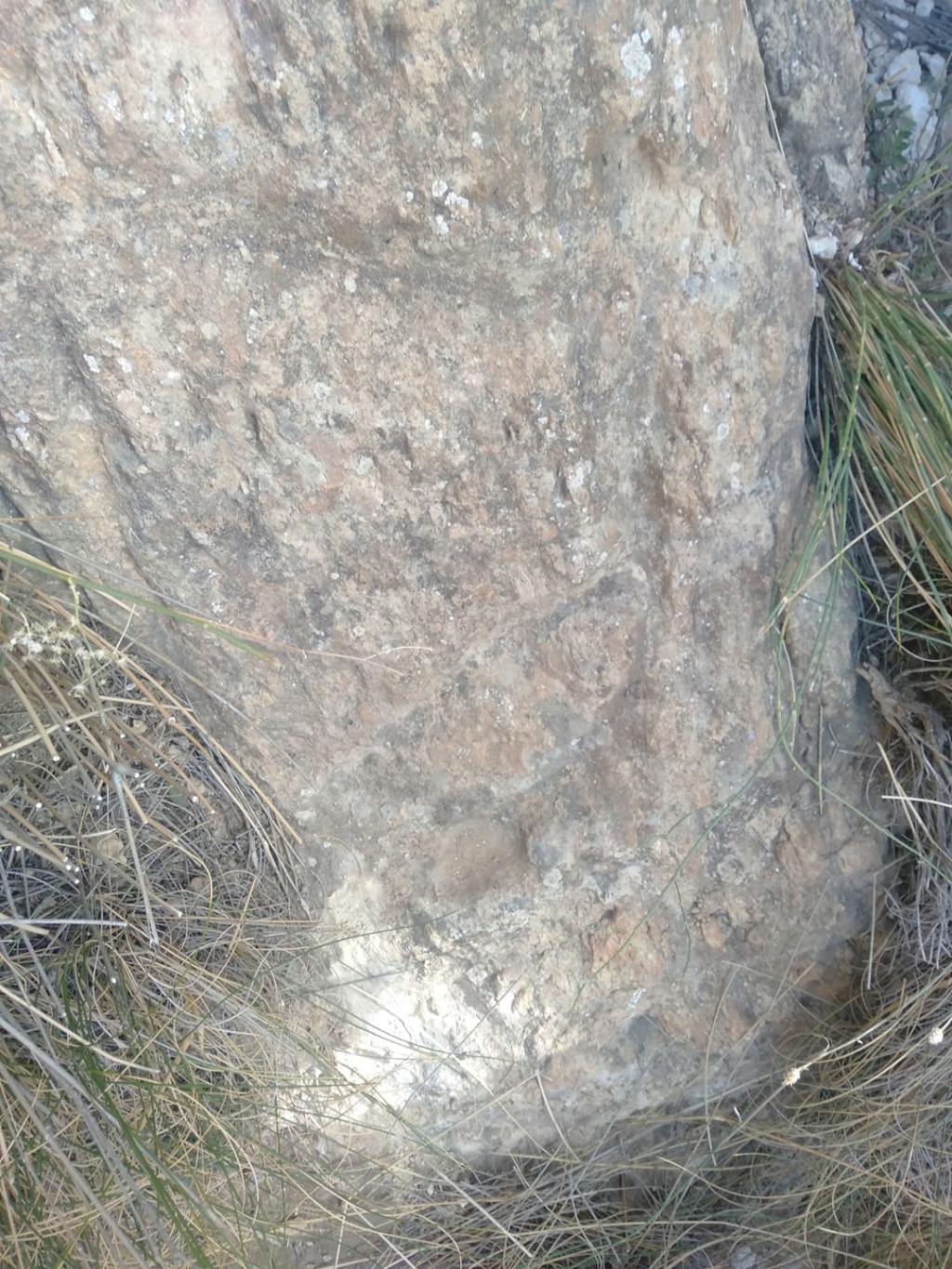 صخرة محفورة غلى شكل قبر - صفحة 2 74593111