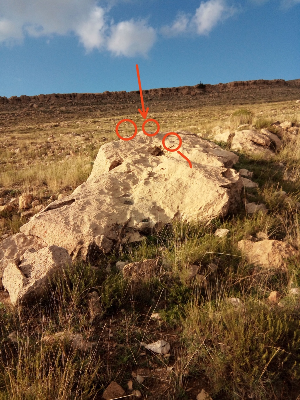 اشارة جرون على صخرة واحدة Img_2028