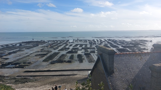 Rando Bretagne Cote d'Emeraude - 15 -> 23 Avril 2023 20221110