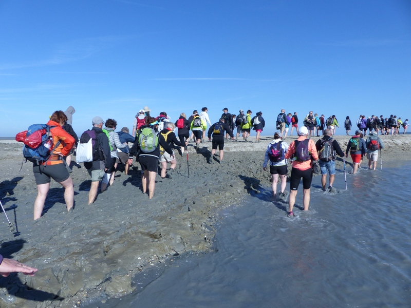 Rando Bleue & Verte - Donville les Bains (50) - 22 Mai 2022 P1070733