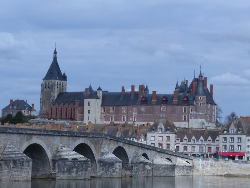 Les 100 Km du Loiret - 3ème édition - 30/31 Mars 2019 P1140611