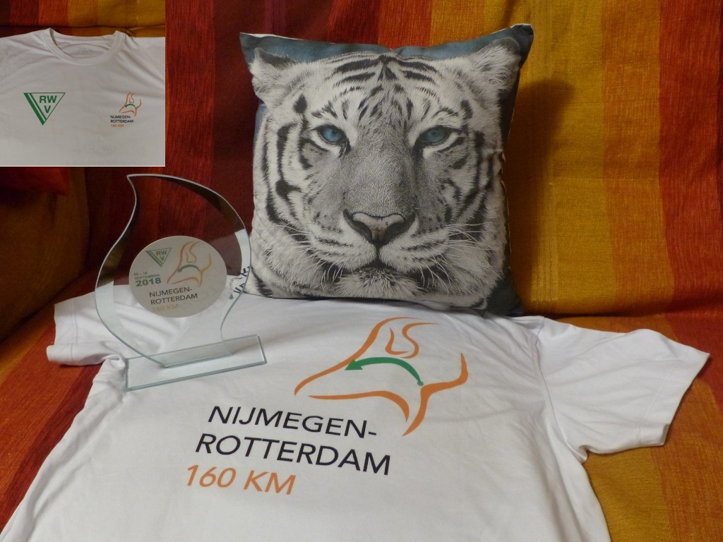 53ème marche Nimègue-Rotterdam - 160 Km - 2018 - RETOUR EXPE P1190710