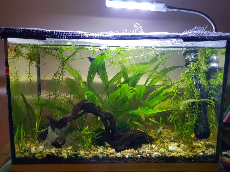 18L low tech 20181211