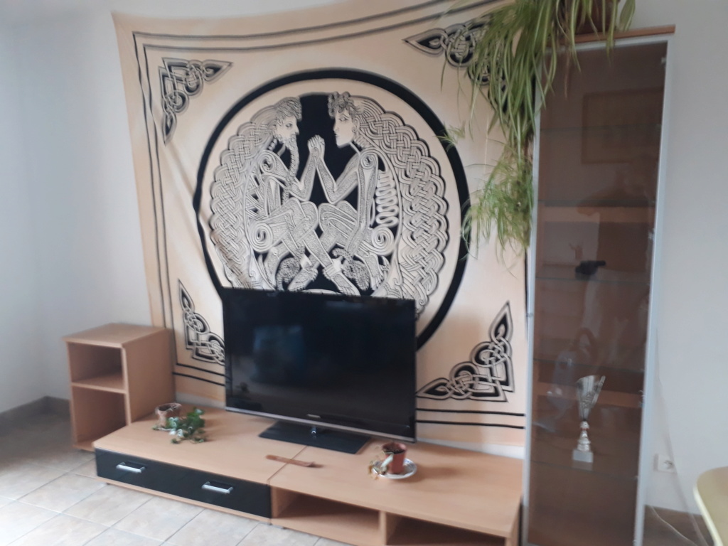 Quelle couleur avec ce parquet ? 20181116