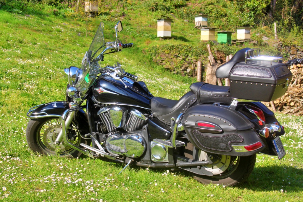 Vulcan 900 Classic 2007 con 85.000 km y mucho mimo. LIMITADA A2 !! Img_4810