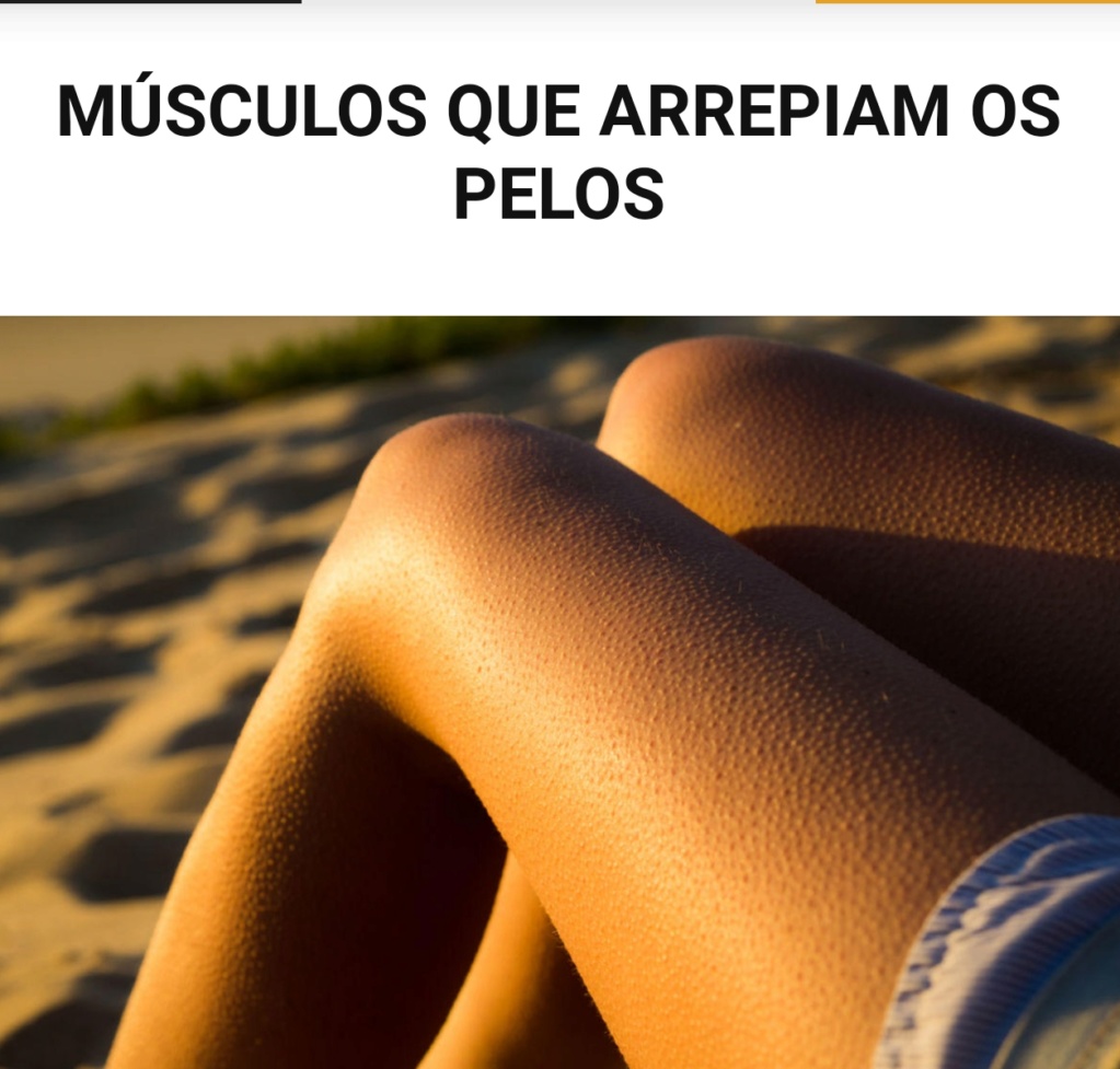 9 COMPONENTES DO CORPO DE QUE JÁ NÃO PRECISAMOS Screen39