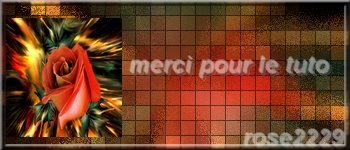 N ° 41 PFS " Fond Bannière " :" Effet Mosaïque" Exerc168