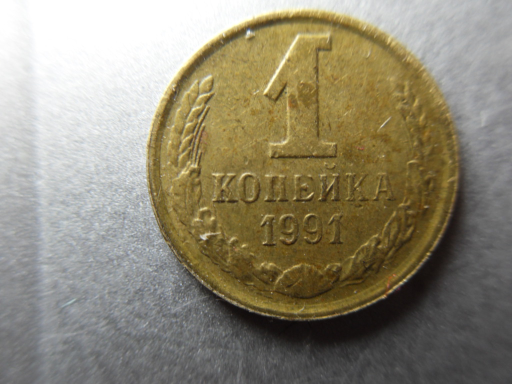 1 копейка 1991 Sdc12812