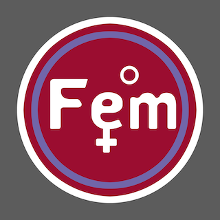 Feminita  -  Explication rapide du Projet   [ en Cours ] Femini14
