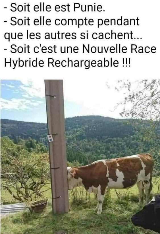 HUMOUR - Savoir écouter et comprendre... - Page 3 26919510