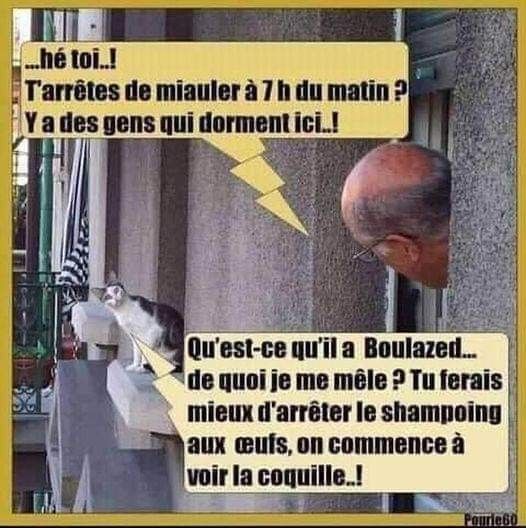 HUMOUR - Savoir écouter et comprendre... 4946cb10