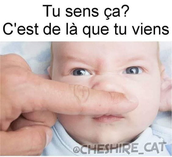 HUMOUR - Savoir écouter et comprendre... 96515210