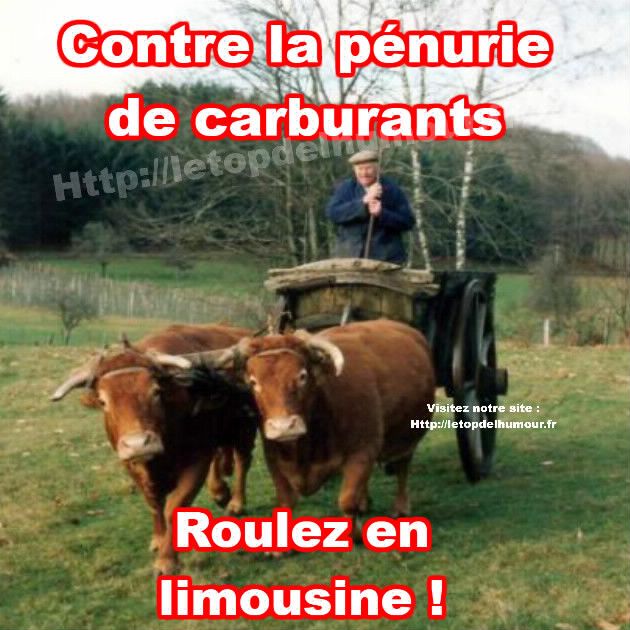 HUMOUR - Savoir écouter et comprendre... - Page 12 Limous10