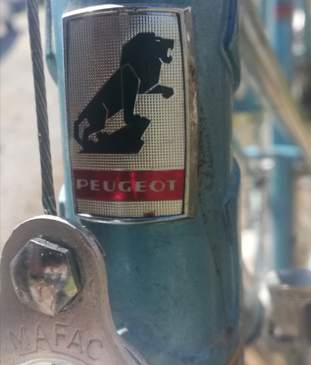 Deux vélos Peugeot nécessitent identification et datation Img_2011
