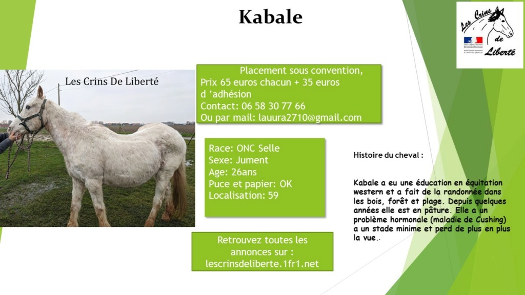 DPT 59- Kabale- ONC Selle- Jument- 26 ans- CF Laura - Kabale10
