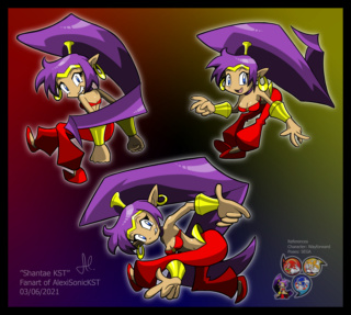 Shantae la Demi-Génie Shanta10
