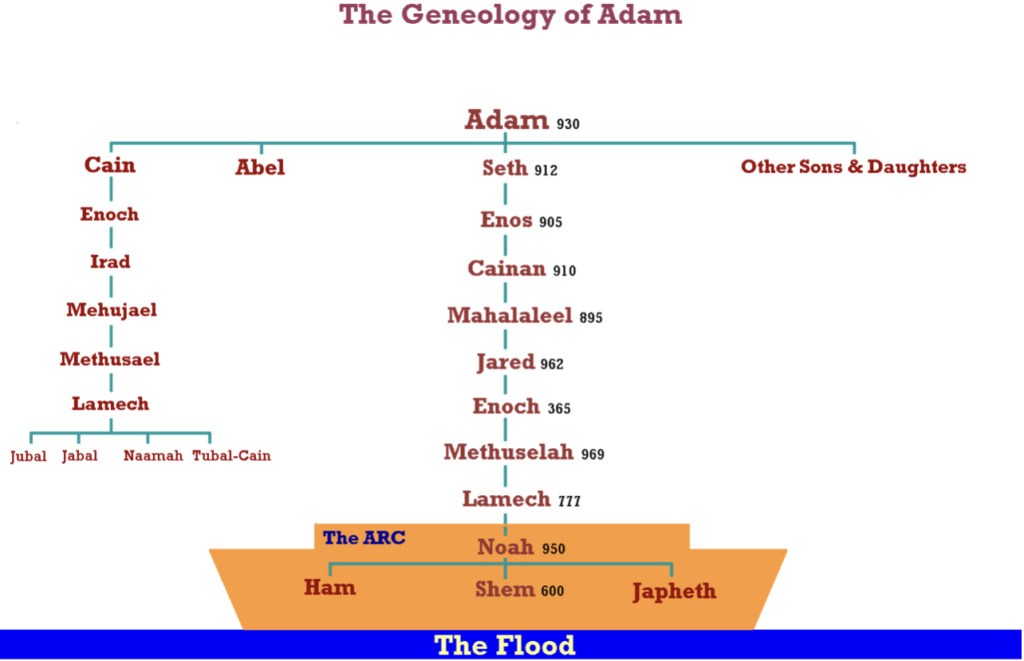Adam, Noé, Abraham, Israël et l'alliance avec les douze tribus d'Israël 40999710