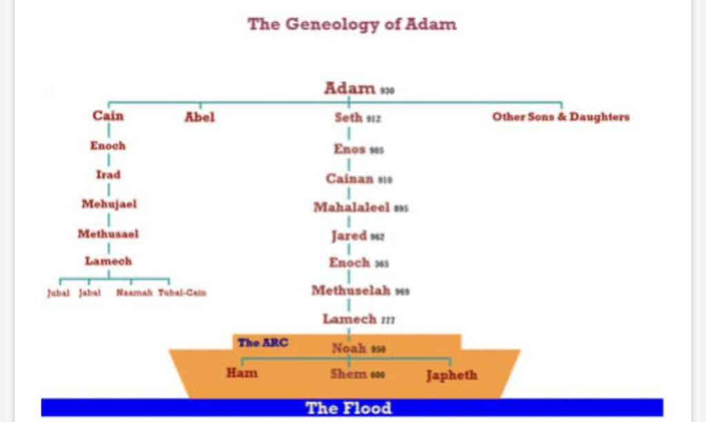 Adam, Noé, Abraham, Israël et l'alliance avec les douze tribus d'Israël 61y1d510