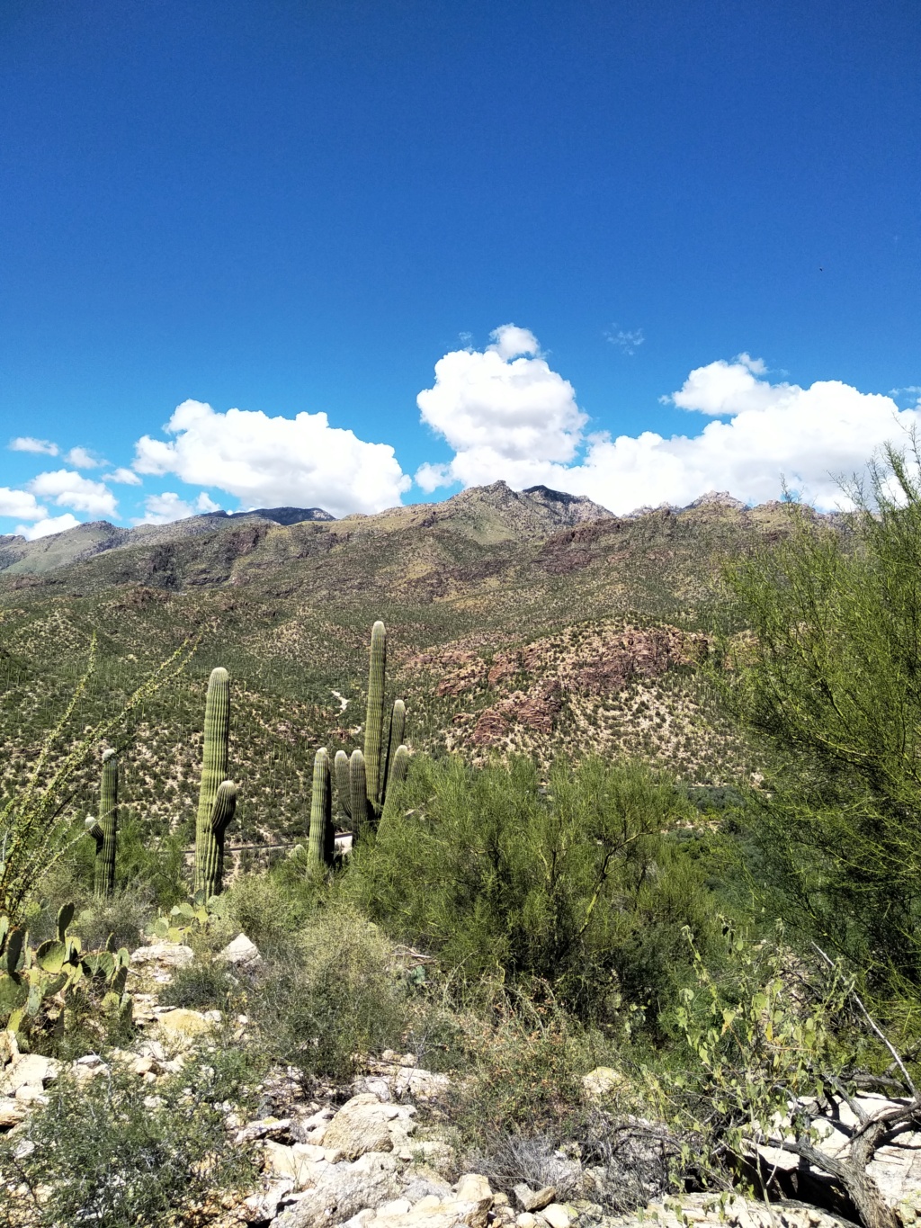 Sabine canyon Tucson arizona Img_2015