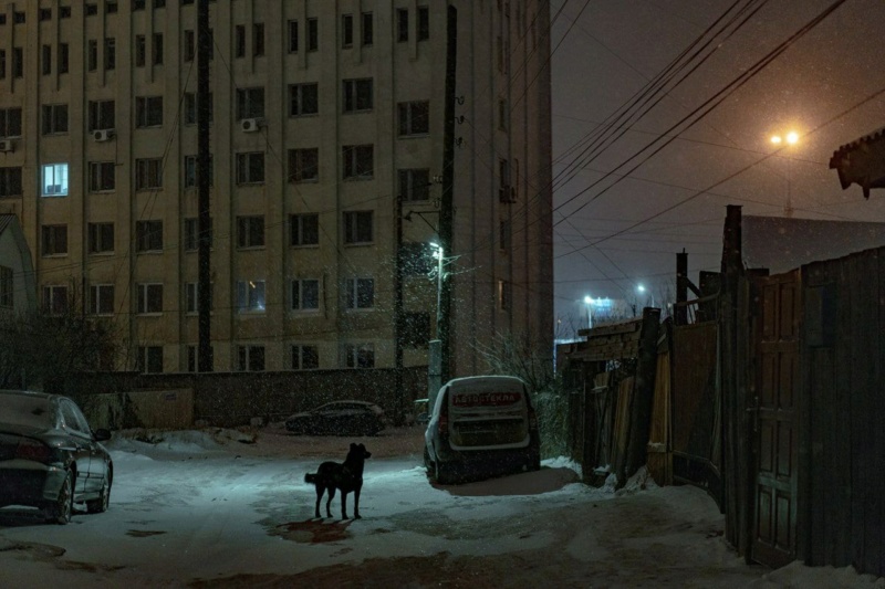 Marina Volskaya-Nikitina  «Night. City. People» Photo150