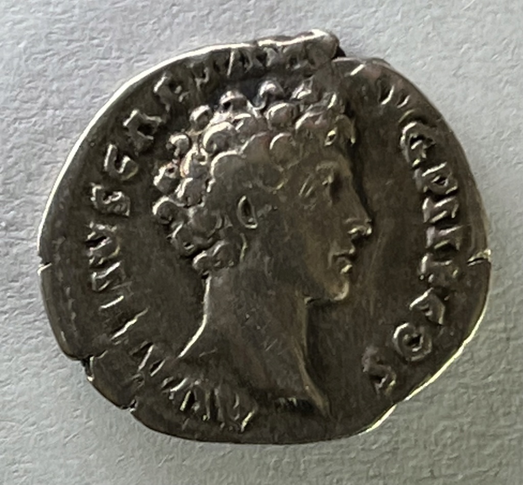Denier Dacc1010